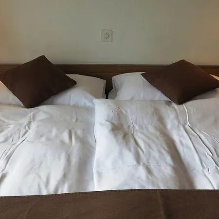 Hotel Alpina