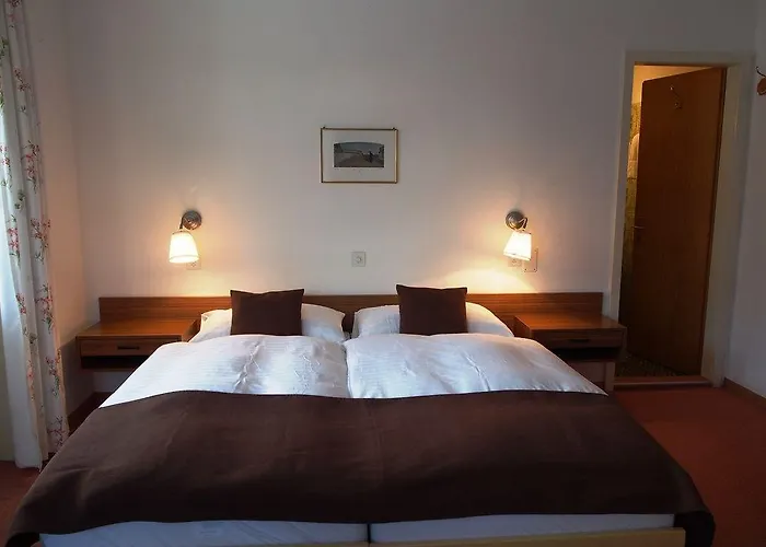 酒店 Alpina 达沃斯