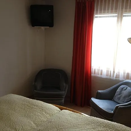 Hotel Alpina 2*